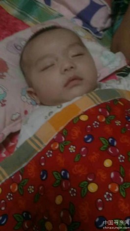 失踪人员：郭丽娜携弃婴寻亲生父母