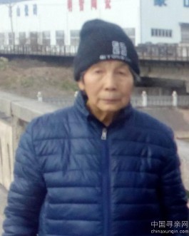 失踪人员：白兰芝